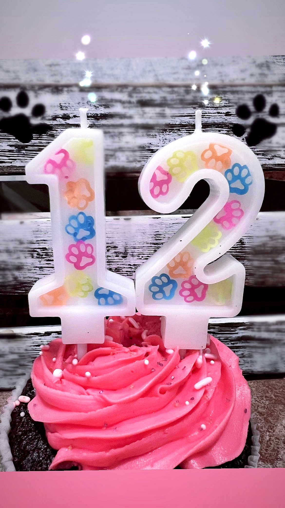 Dog Birthday Number Candle – Paw Print Confetti Design