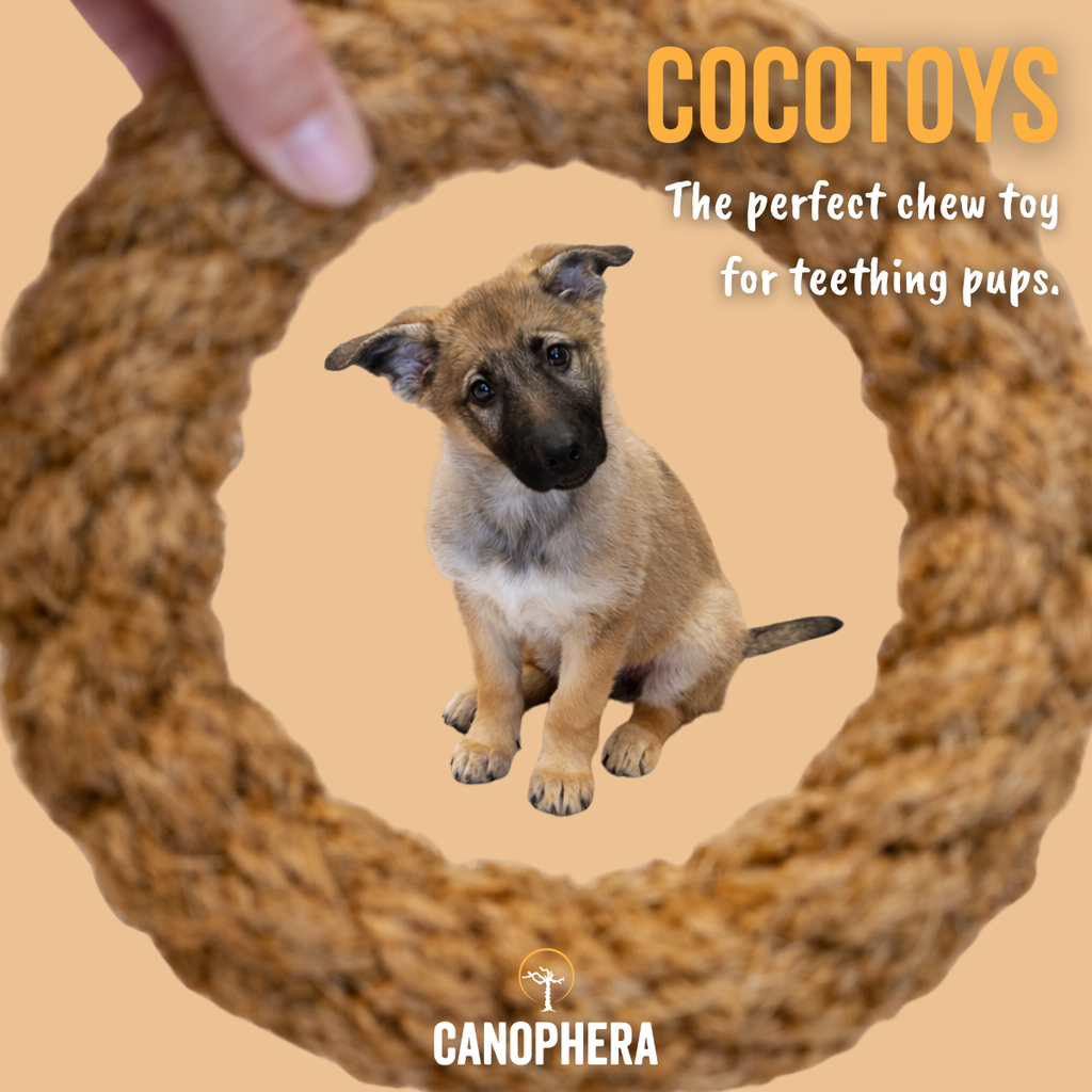 Natural Coconut Rope Ring Dog Toy - CocoRing