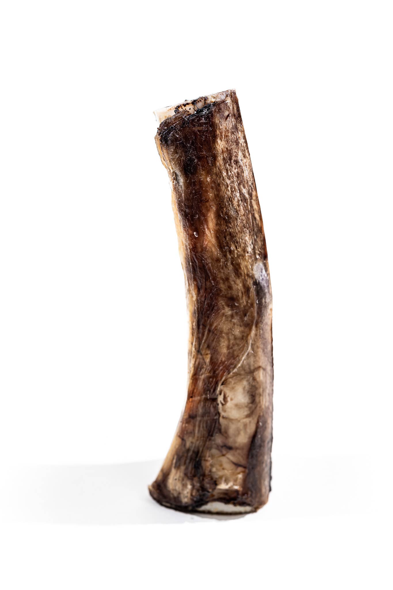 Winnie Lou Bison Marrow Bone - 6-8"