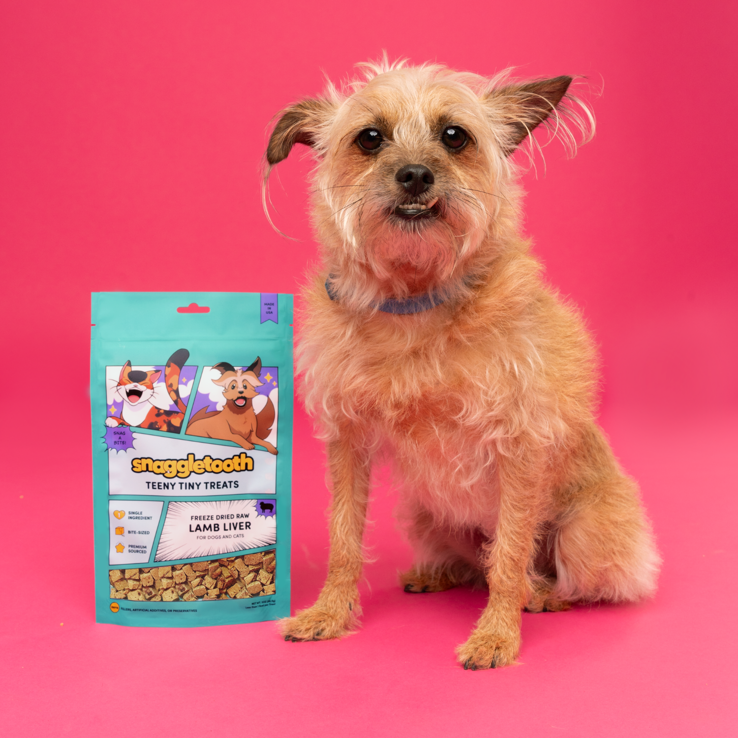 Snaggletooth Lamb Liver Teeny Tiny Treats, 2 oz