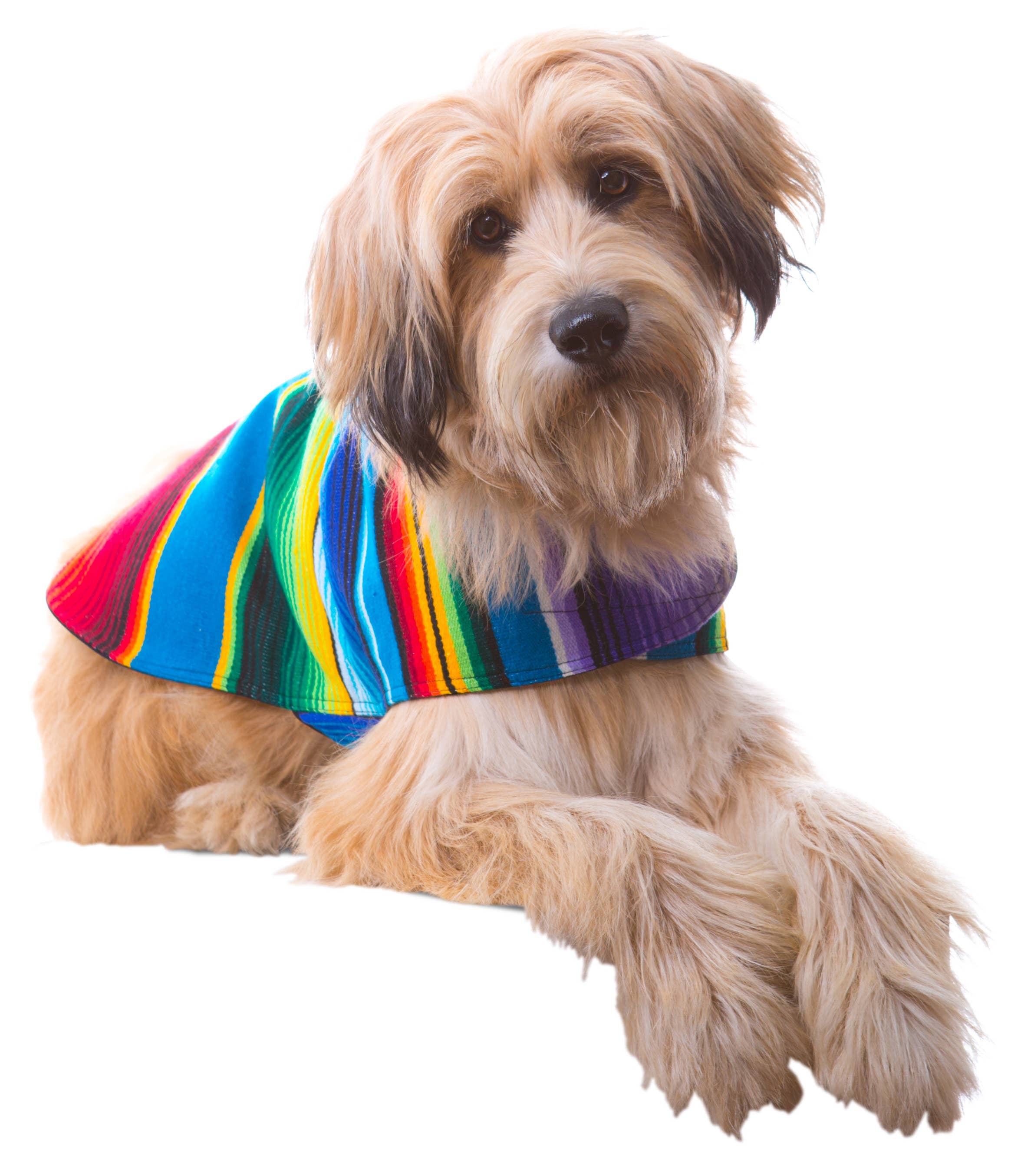 Handmade Serape Dog Poncho