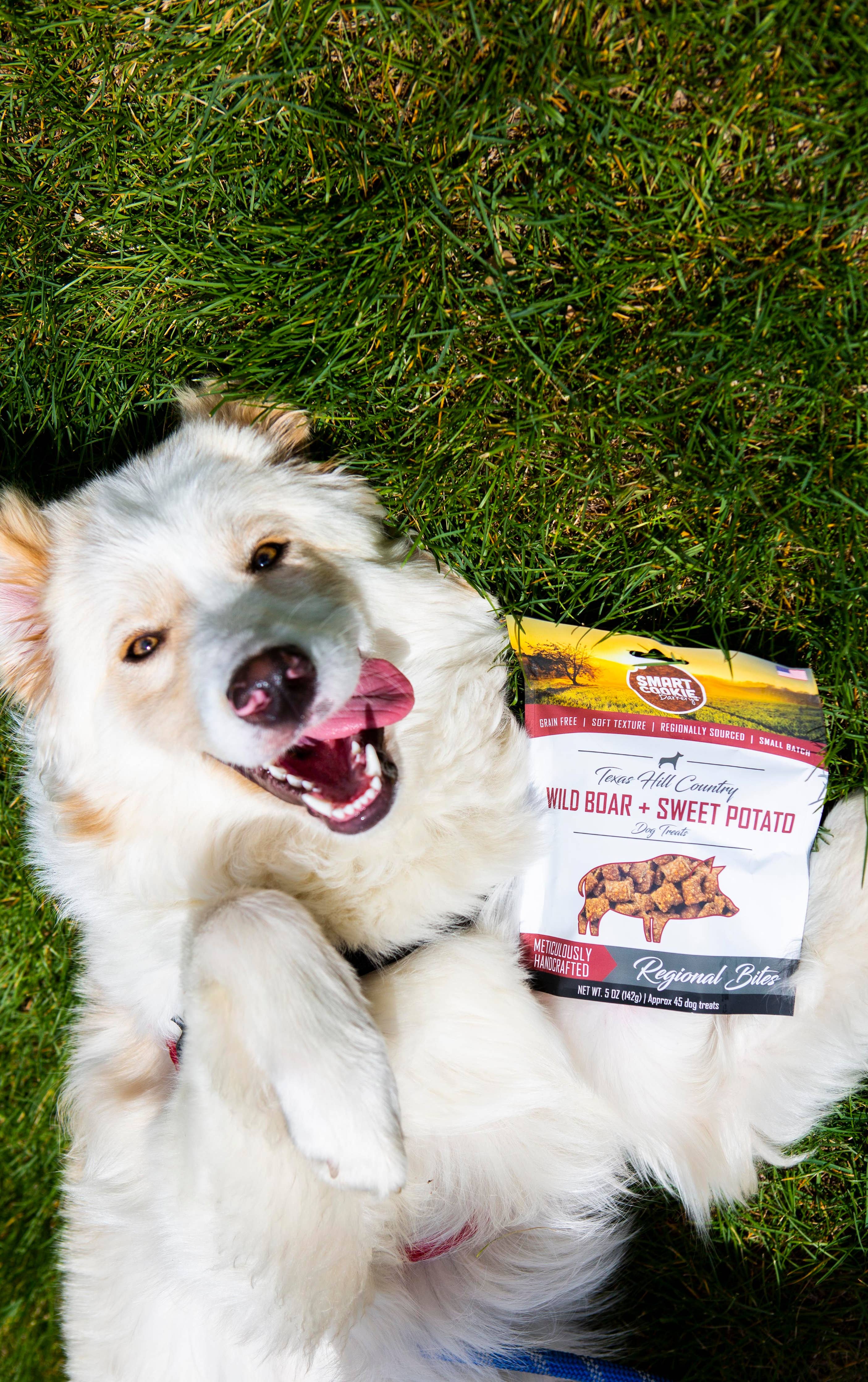 Wild Boar + Sweet Potato Chewy Dog Treat