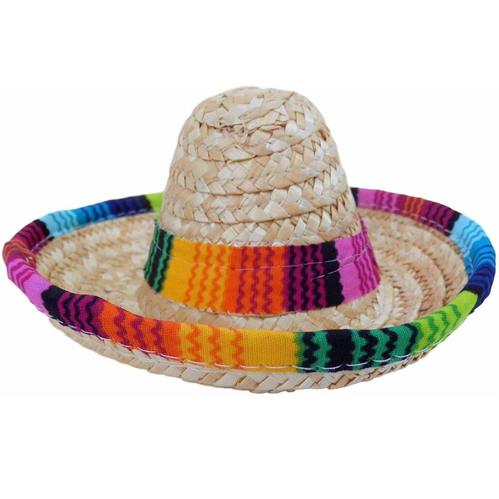 Fiesta Dog Sombrero