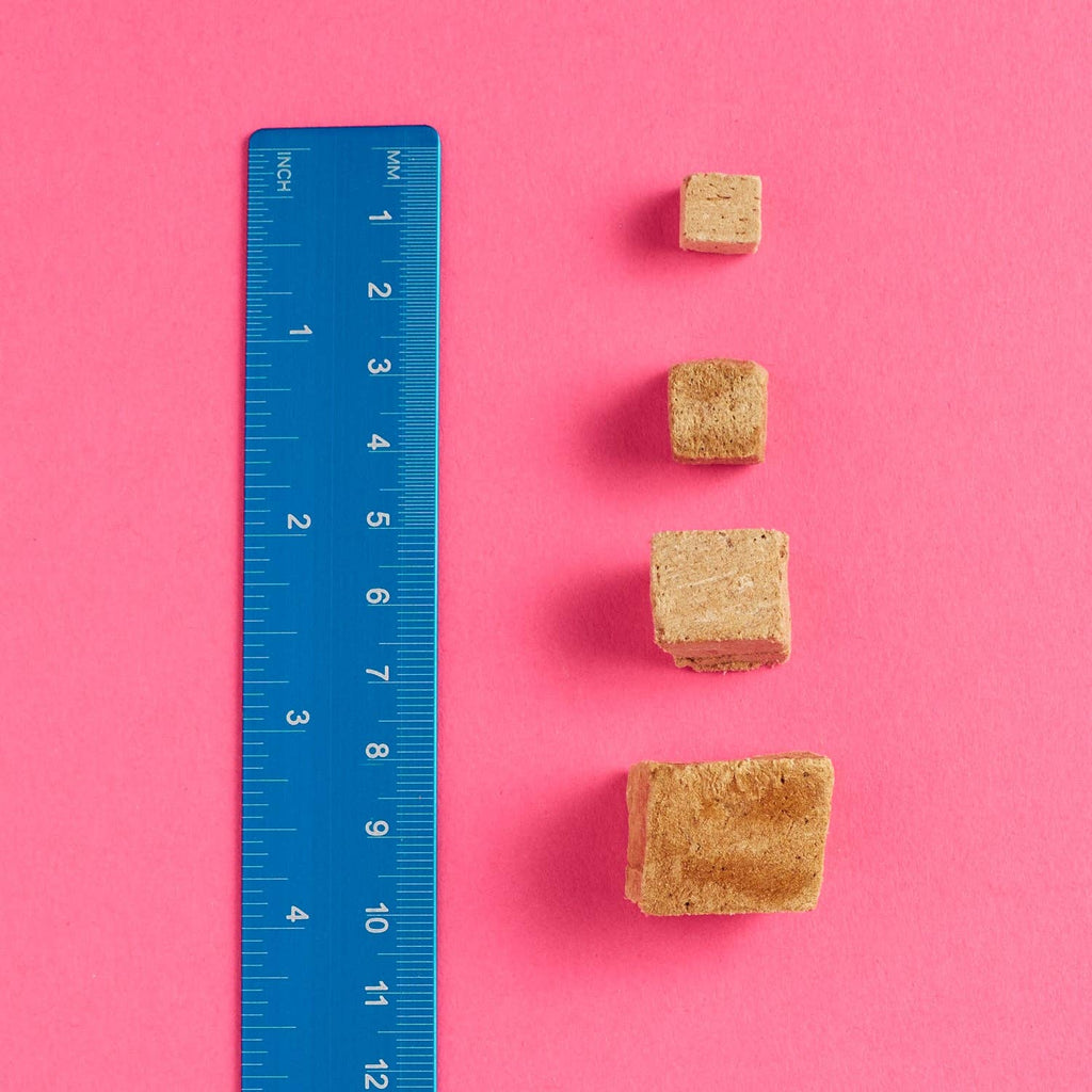 Snaggletooth Lamb Liver Teeny Tiny Treats, 2 oz