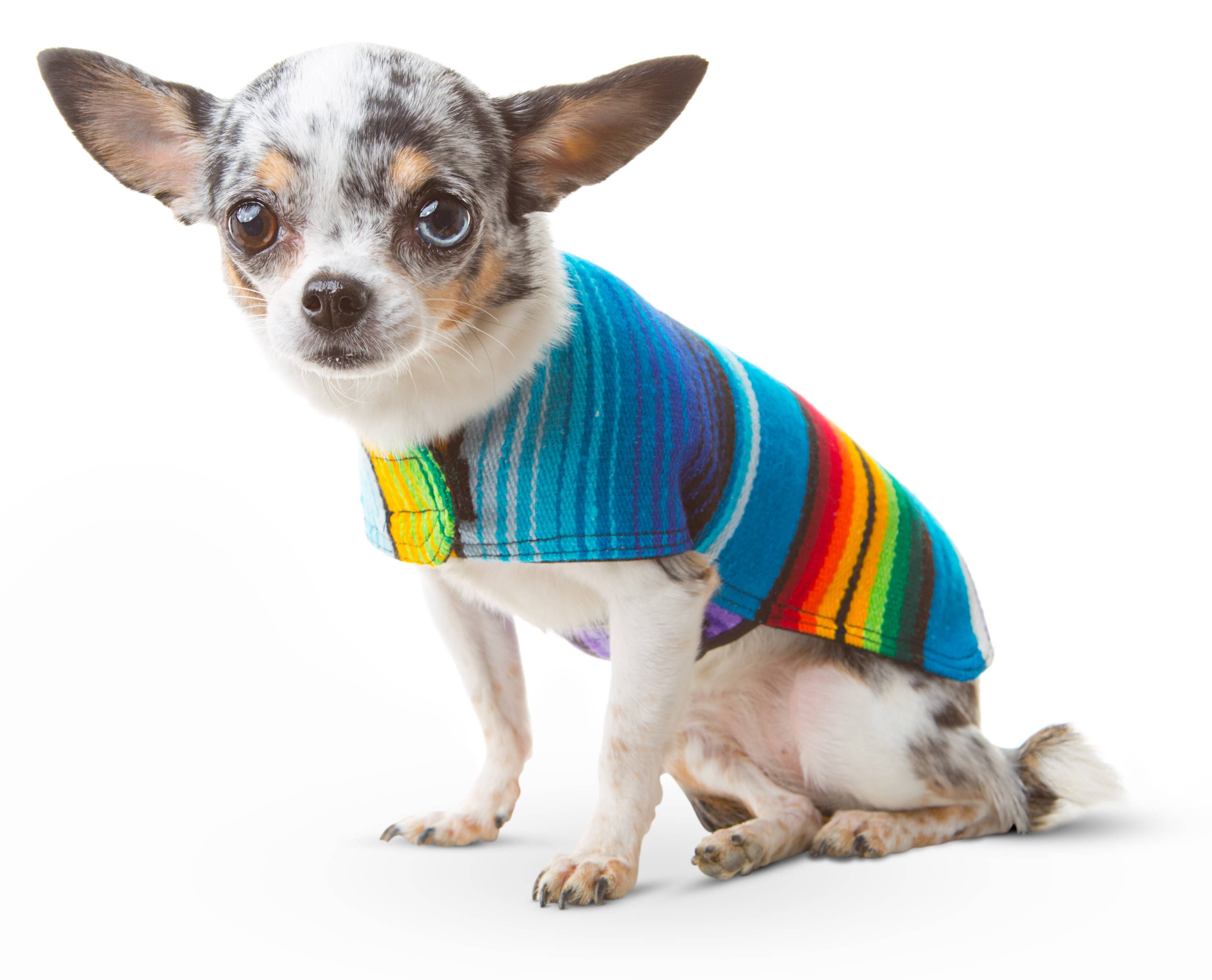 Handmade Serape Dog Poncho