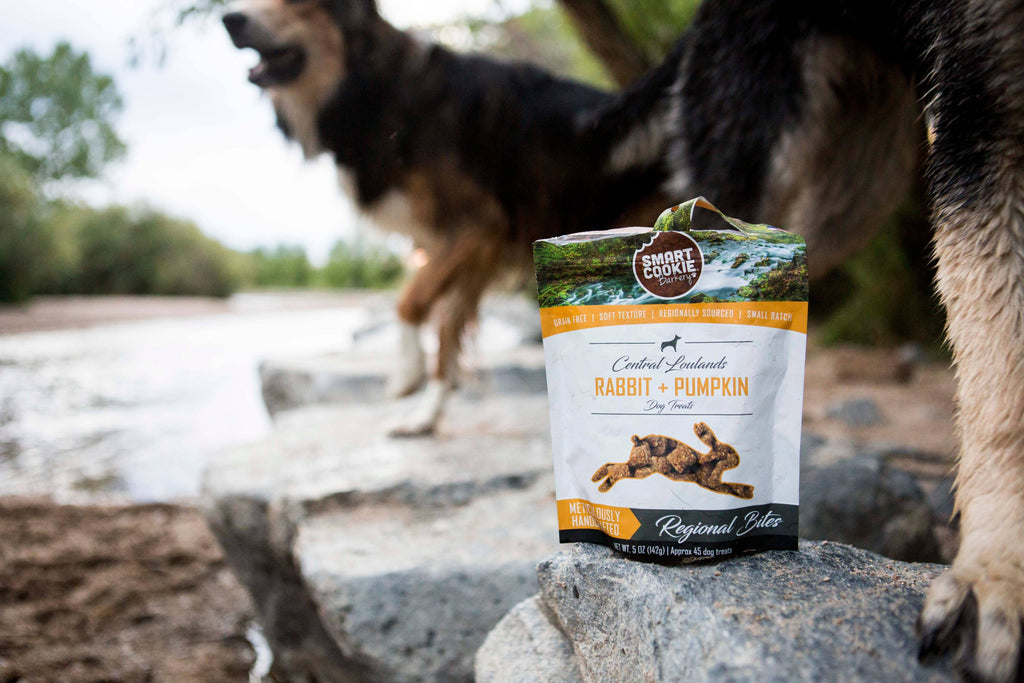 Rabbit & Pumpkin Soft Bites for Dogs
