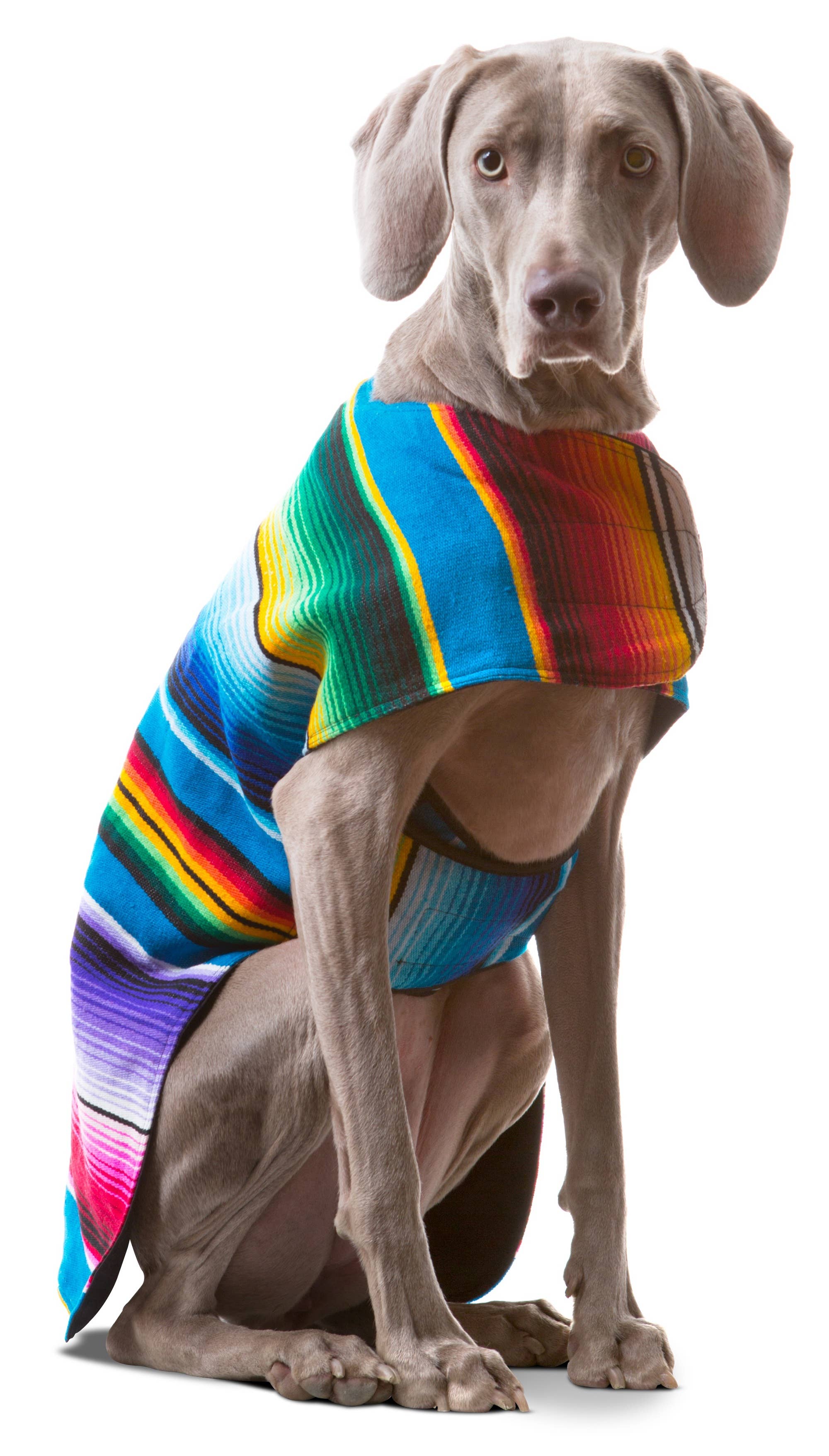Handmade Serape Dog Poncho