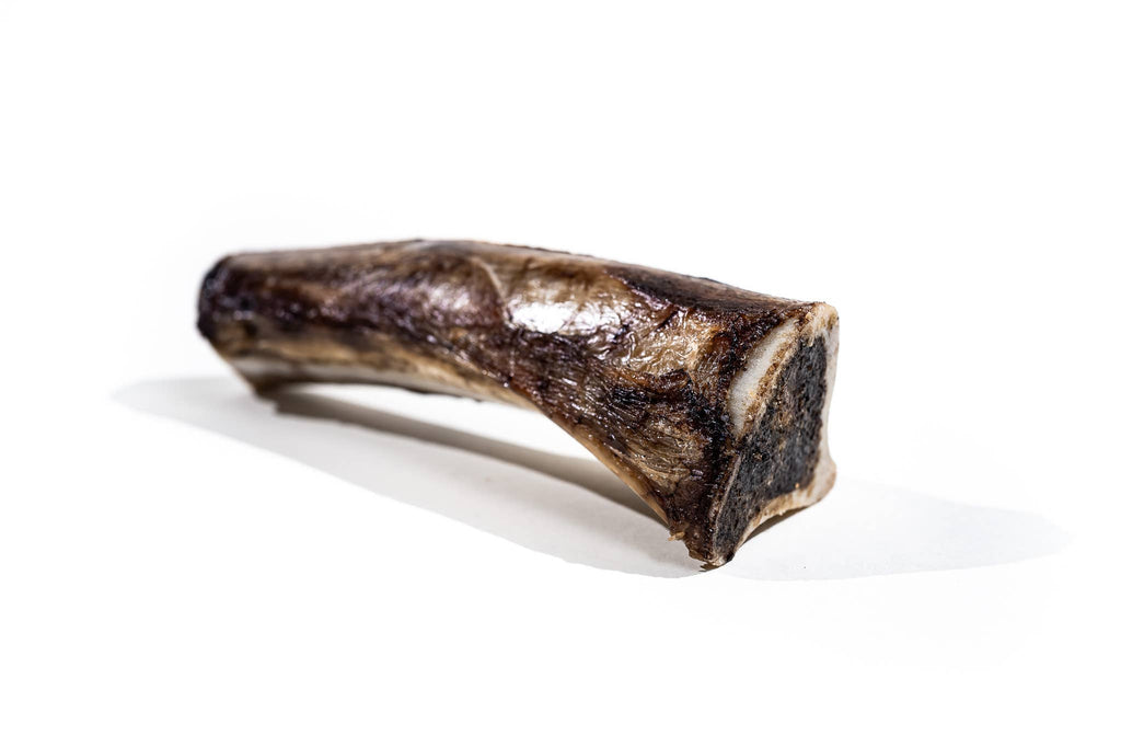 Winnie Lou Bison Marrow Bone - 6-8"