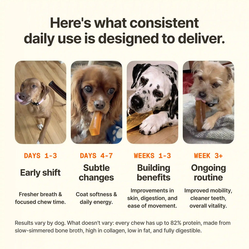 Gnü The Bone Broth Chew – Chicken and Chamomile Bone Broth Digestible Dog Chew
