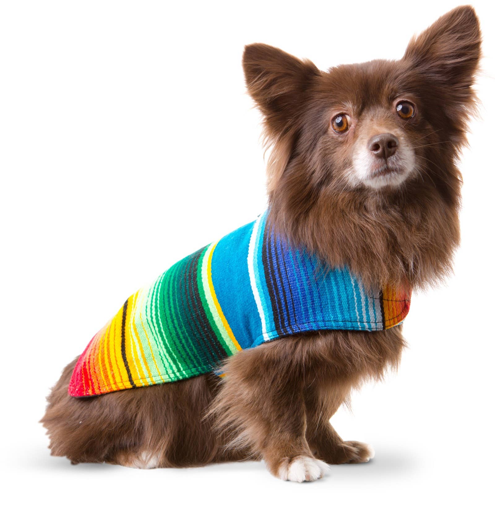 Handmade Serape Dog Poncho