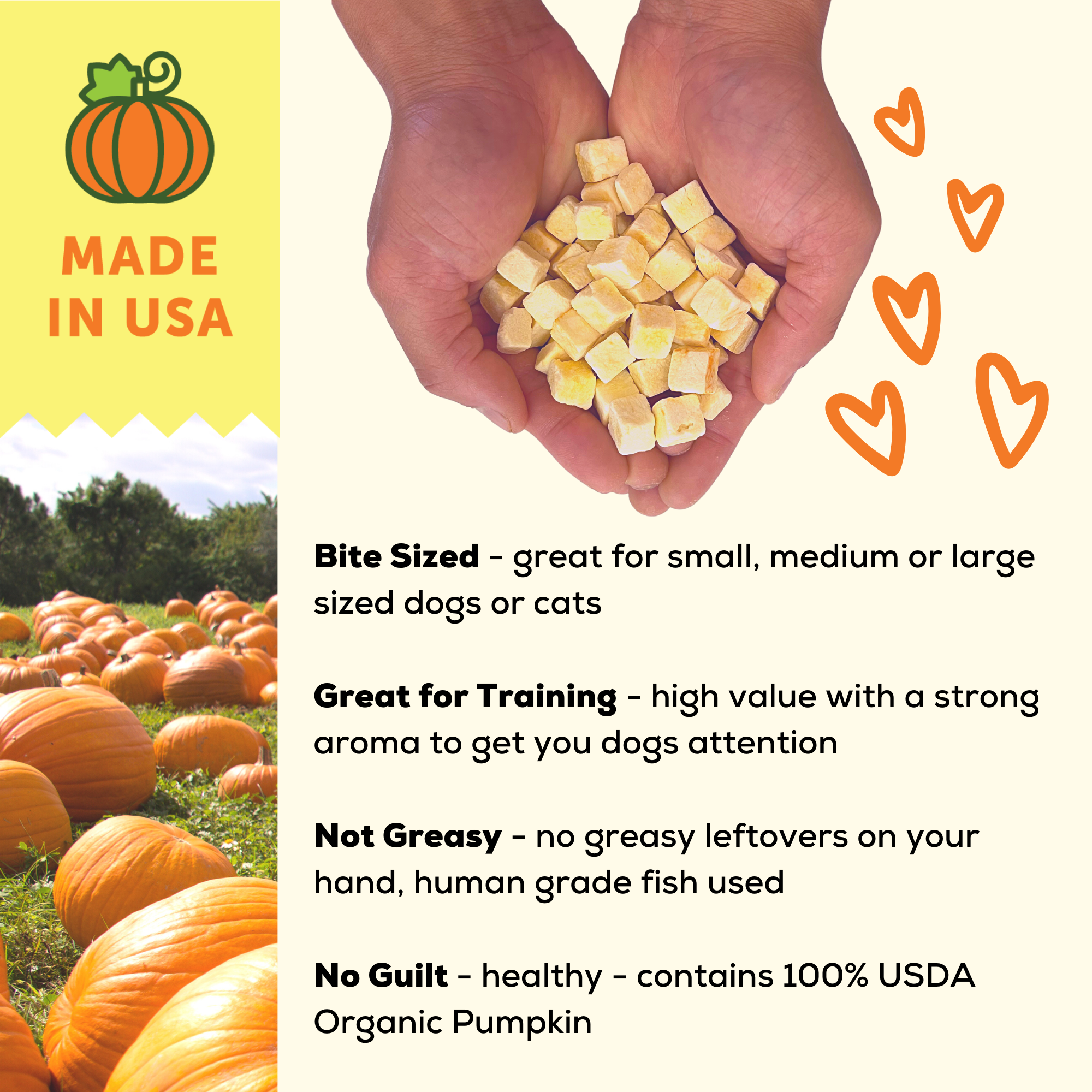 Organic Freeze Dried Pumpkin Dog and Cat Treats