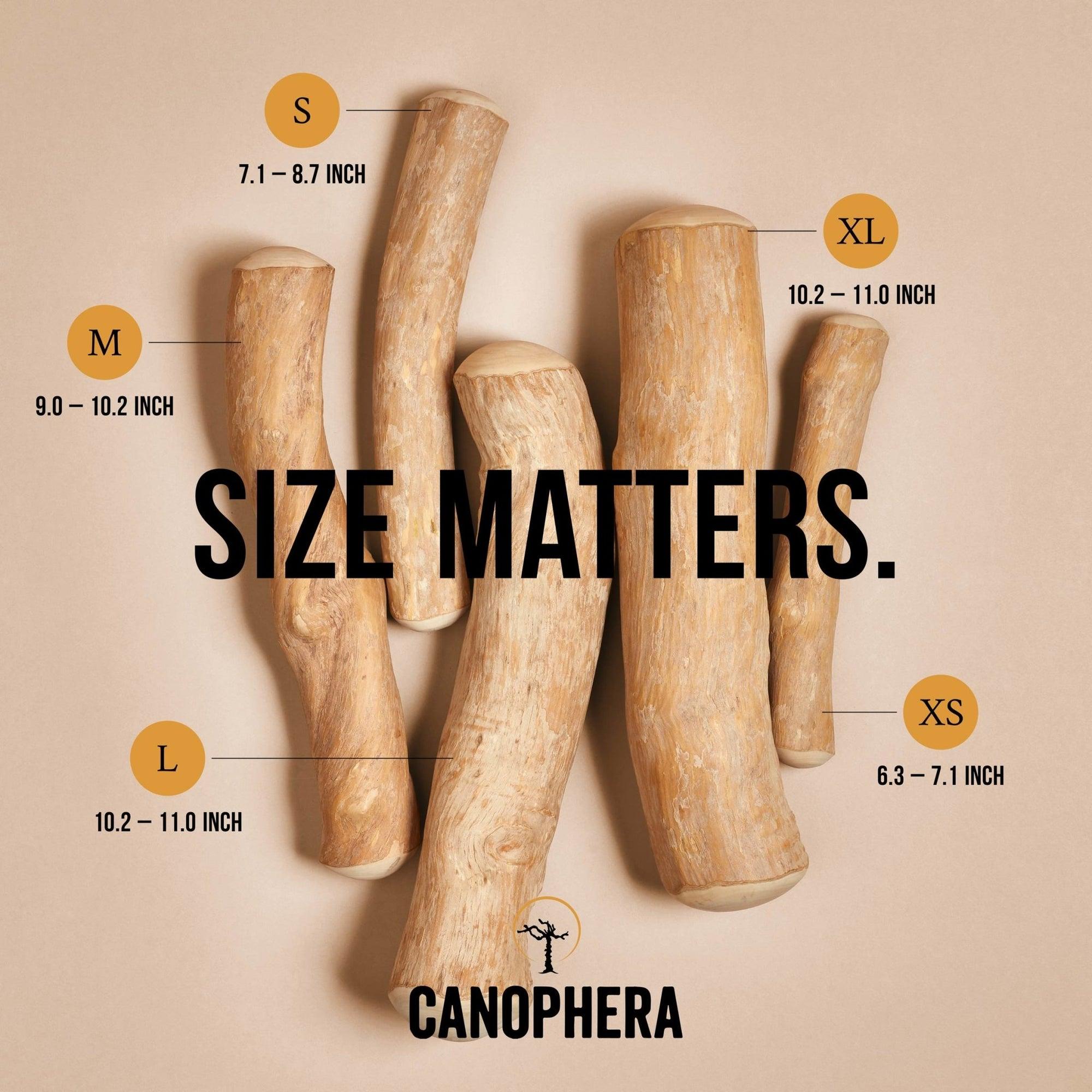 Canophera - Coffeewood Stick