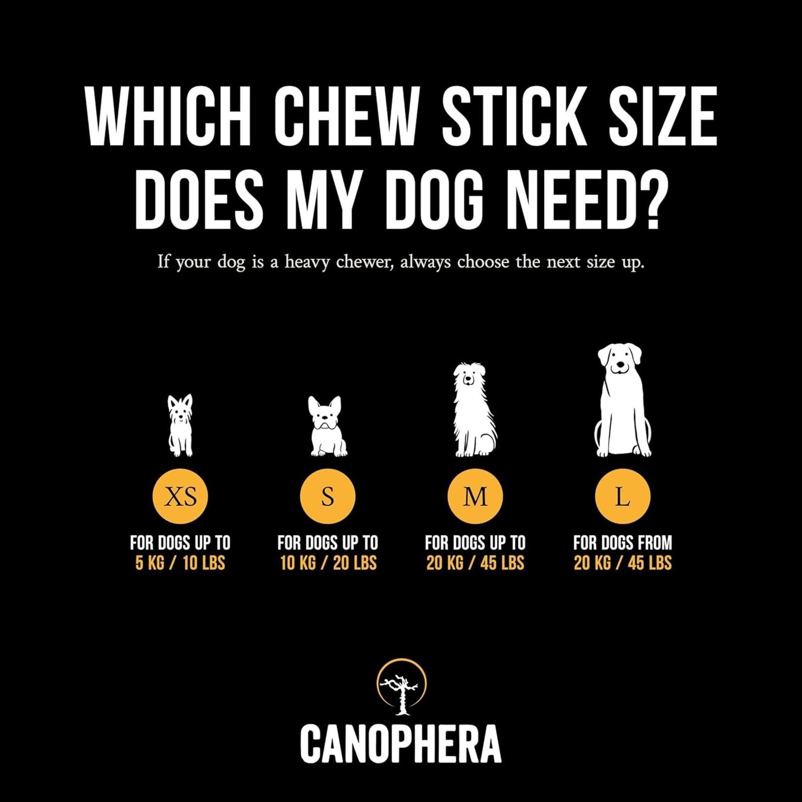 Canophera - Coffeewood Stick